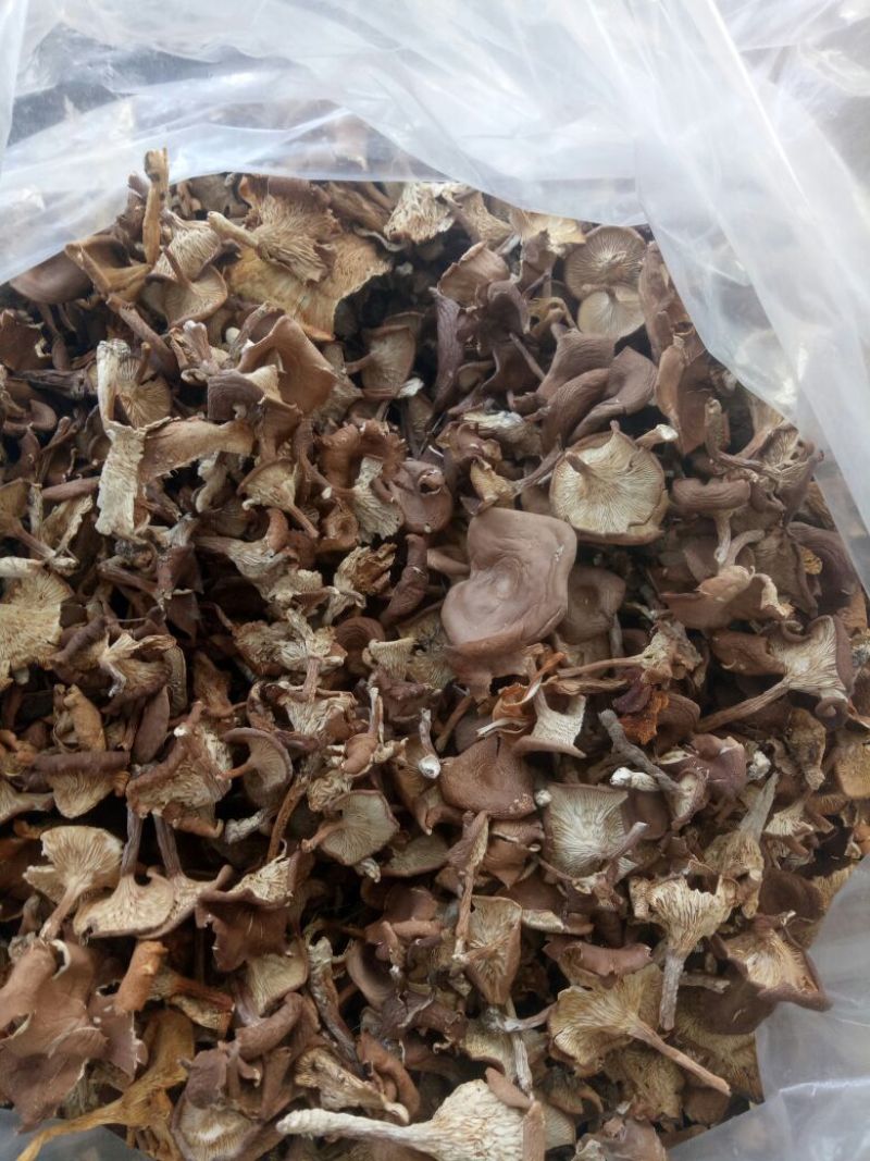喇叭蘑野生菌，自然晾干