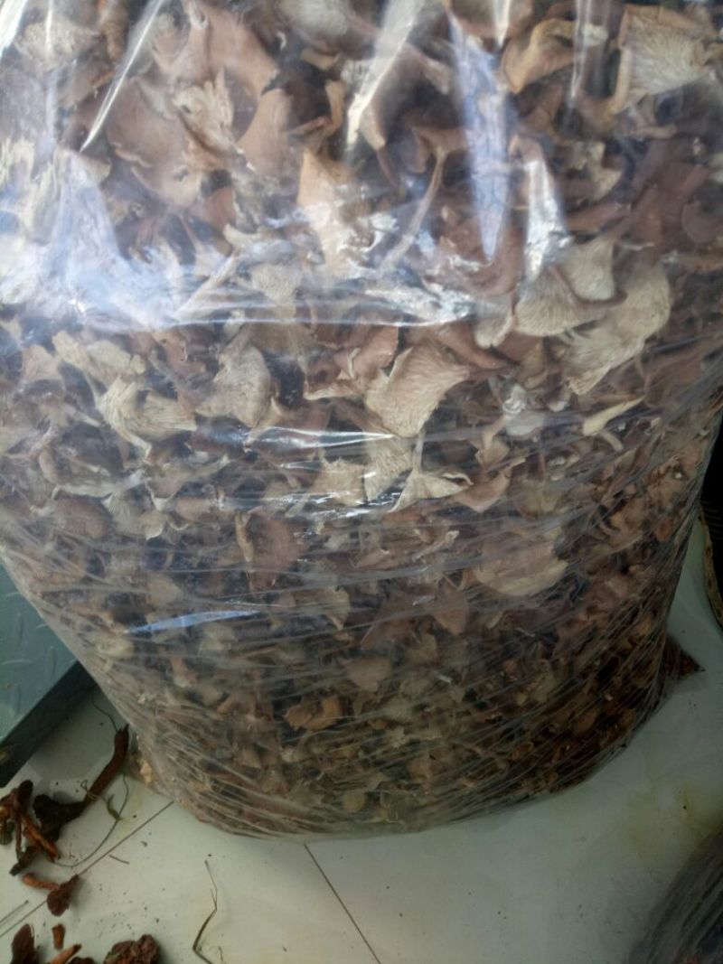 喇叭蘑野生菌，自然晾干