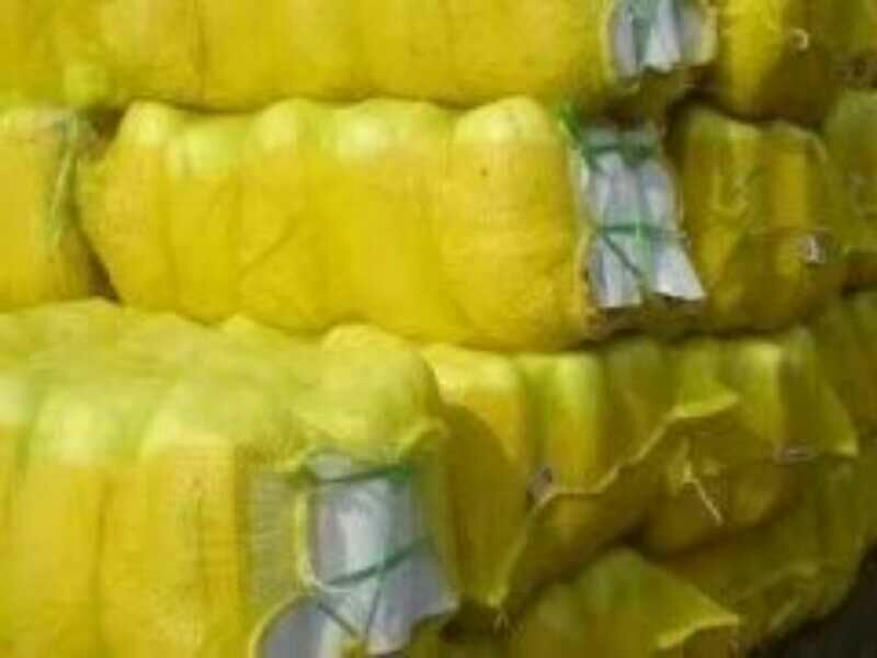 北京新三号白菜大量上市