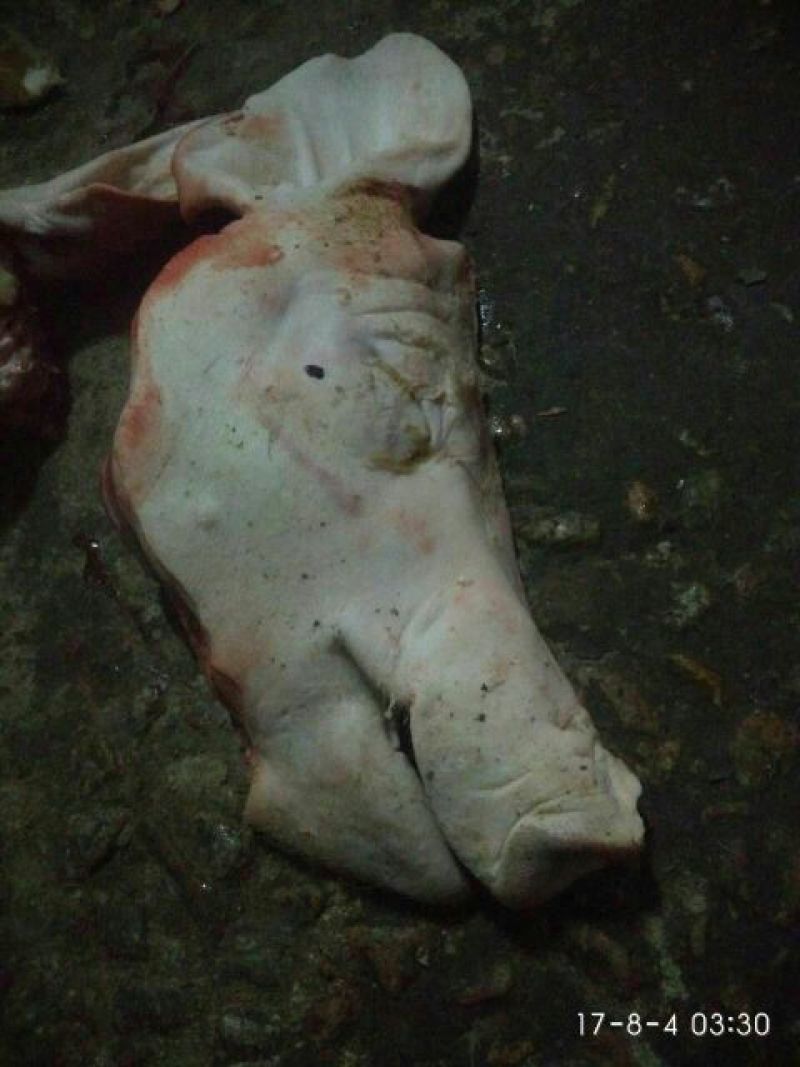 猪头肉散装