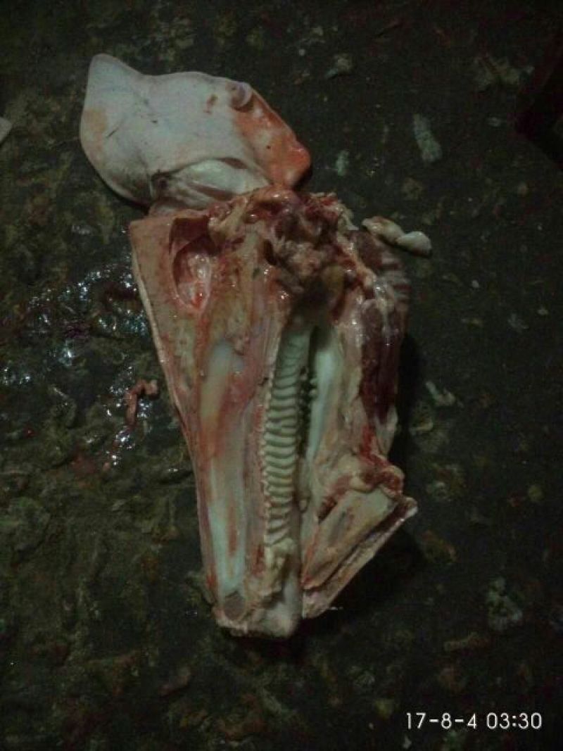 猪头肉散装