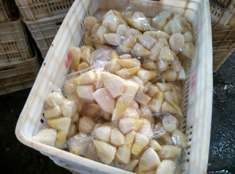 马蹄笋9cm以下