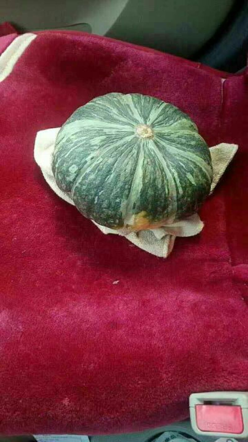 渭南大荔板栗南瓜各种规格大吨位供应，电商，市场均可