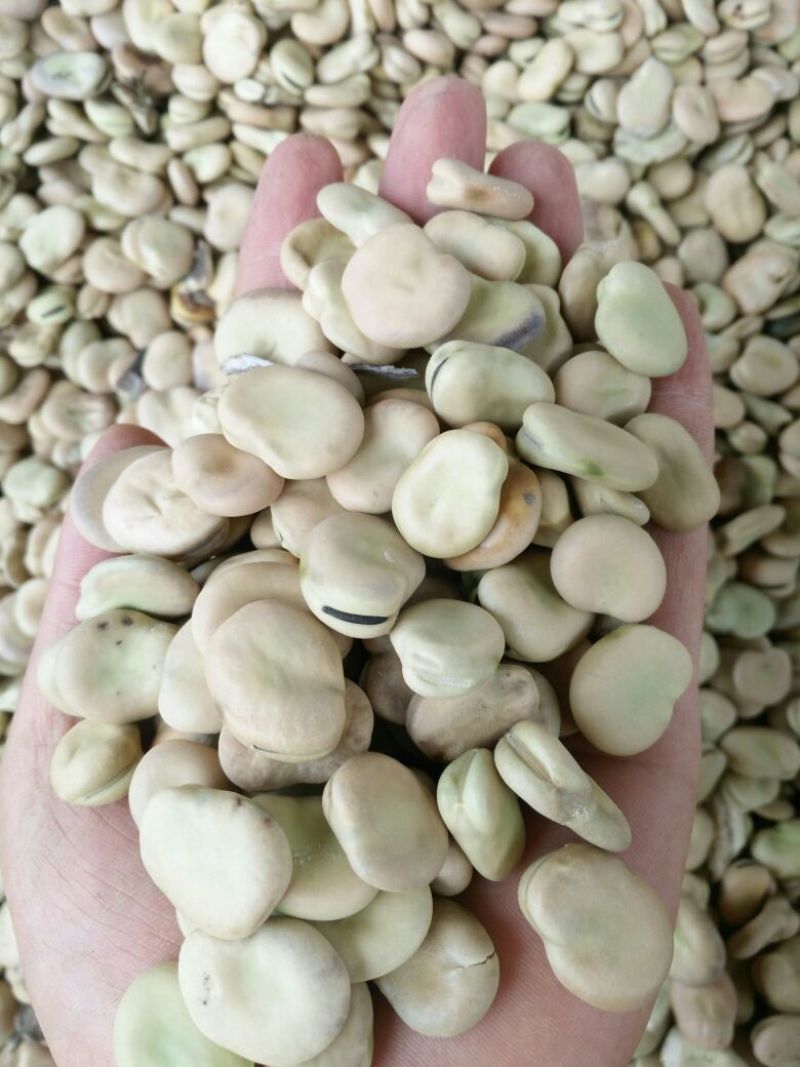 压榨菜籽油农副产品购销