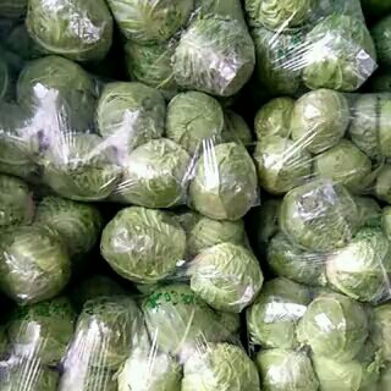 我处甘蓝大量供应，品质好，备有大型冷库，物流交通方便，欢