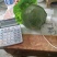 我处甘蓝大量供应，品质好，备有大型冷库，物流交通方便，欢