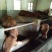杂交牛300~400kg