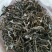 老树茶一级
