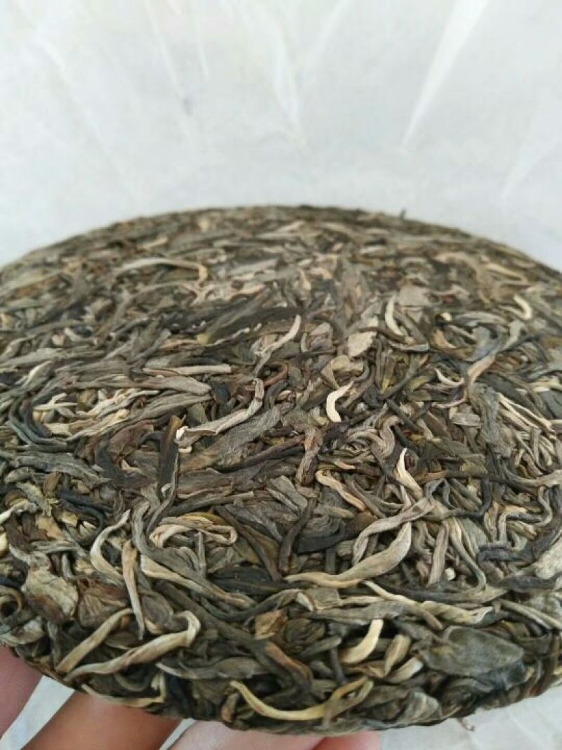 老树茶一级