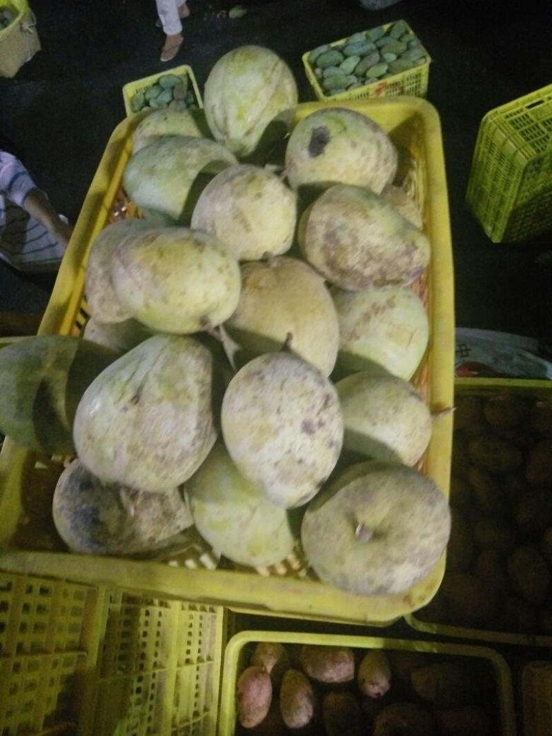 凯特芒8两以上