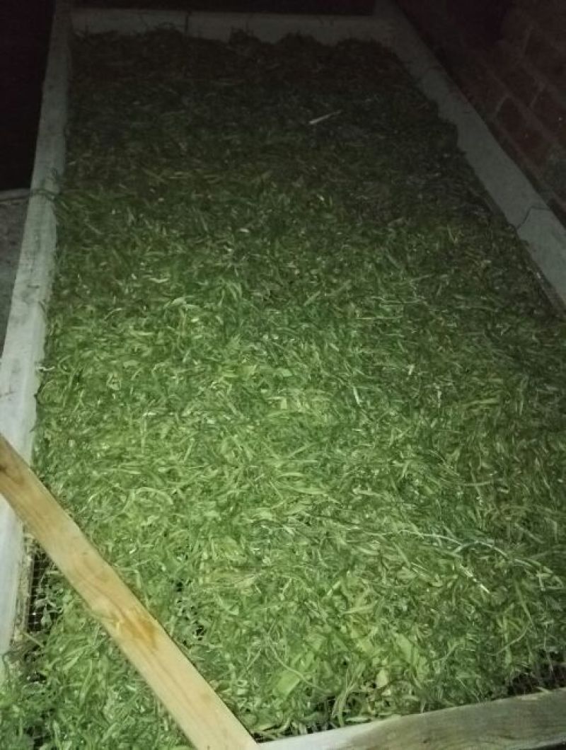 干豆角