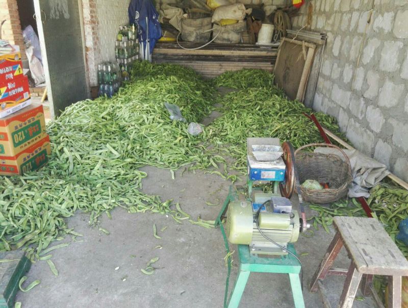 干豆角