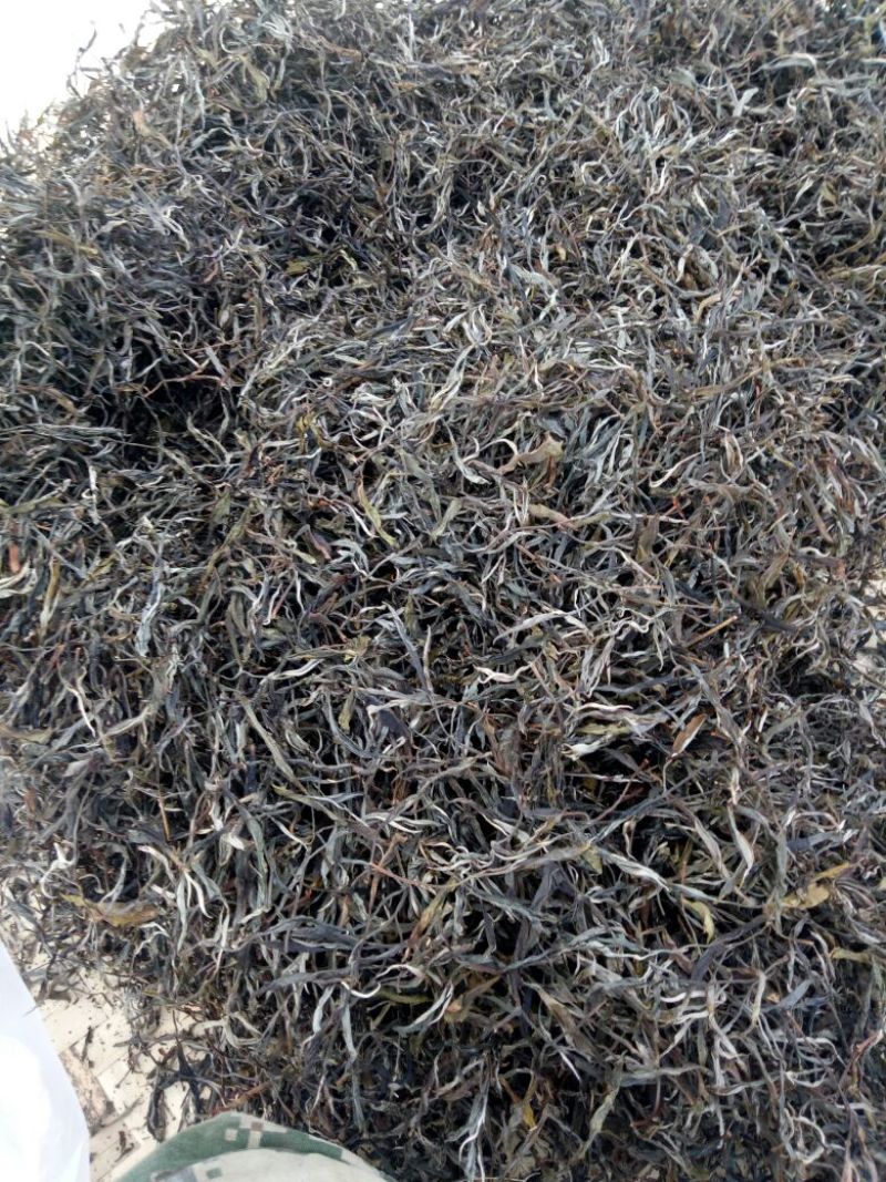 普洱茶一级