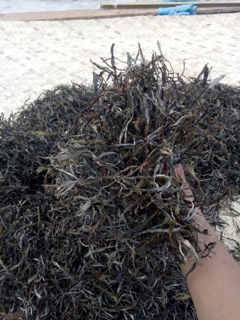 普洱茶一级