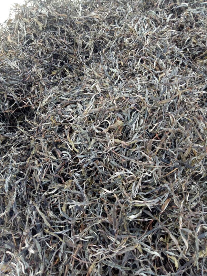 普洱茶一级