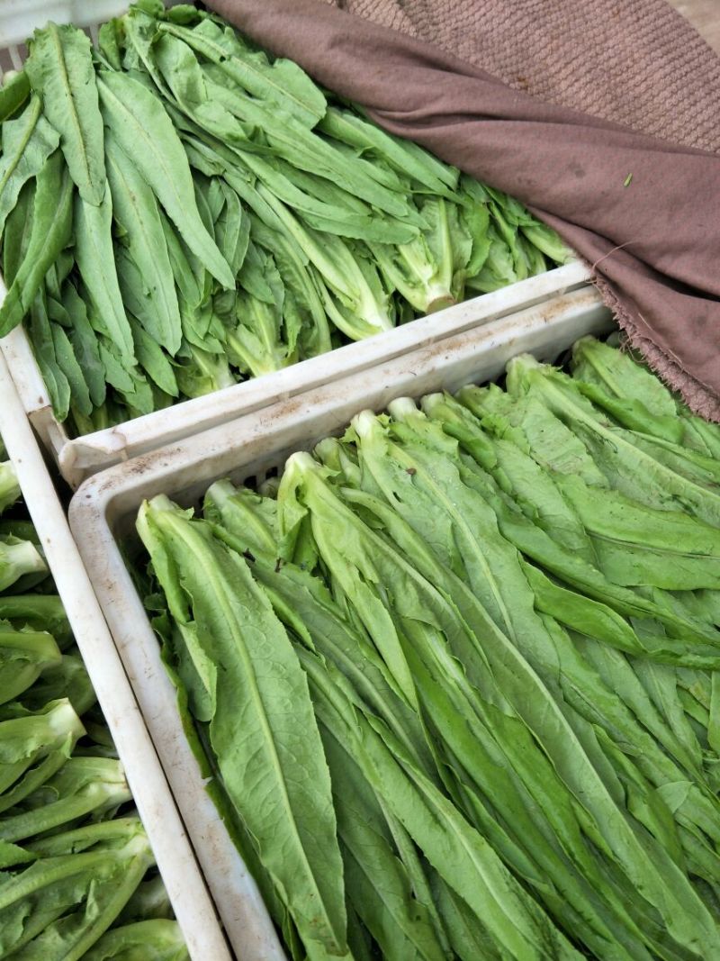 大量上市，质量保证，支持地头装货。