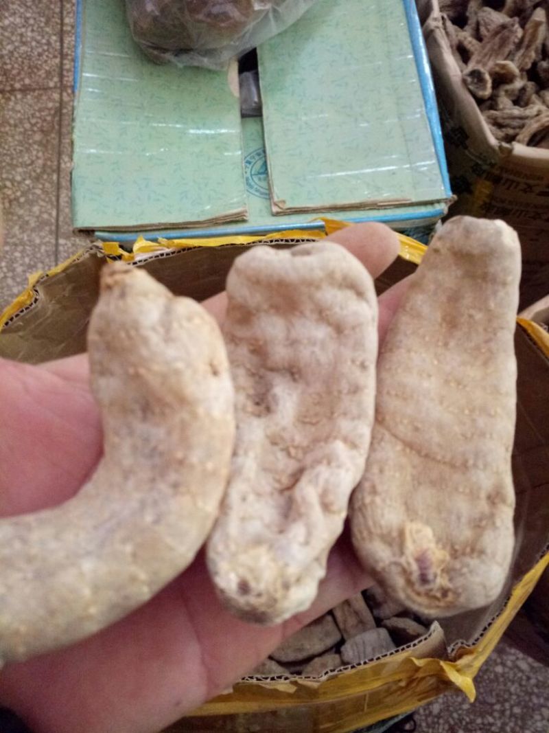 野生天麻足干.特级品