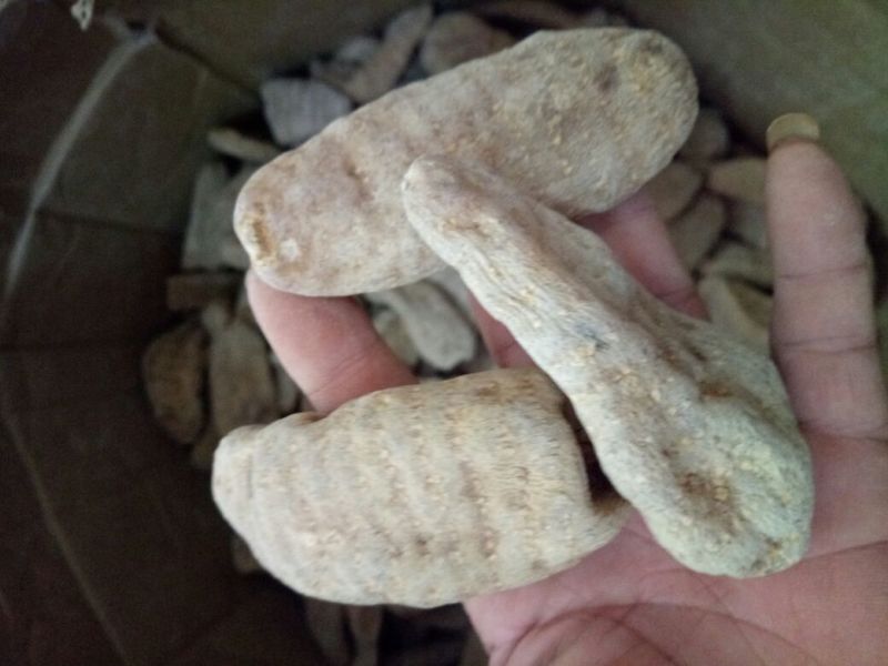 野生天麻足干.特级品