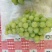 大青葡萄1.5~2斤5%以下