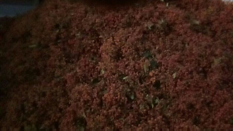 青花椒特级鲜