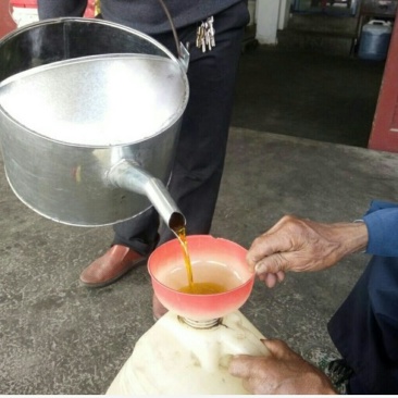 油菜籽1级
