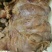 五香驴肉