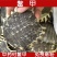 鳖甲中药材无硫鳖甲整个大货批发