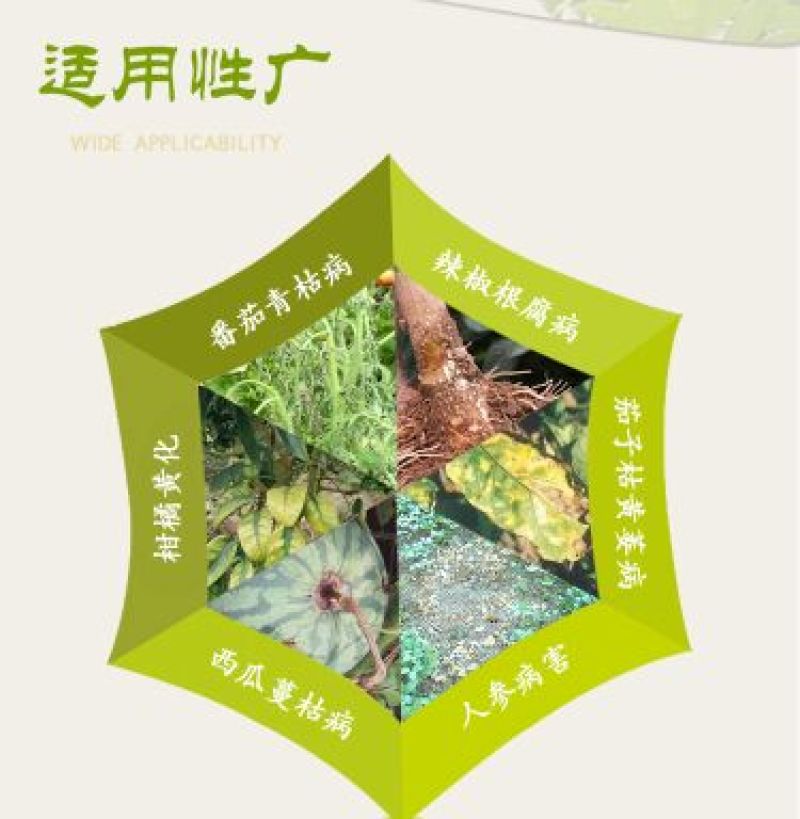 奥力克水剂