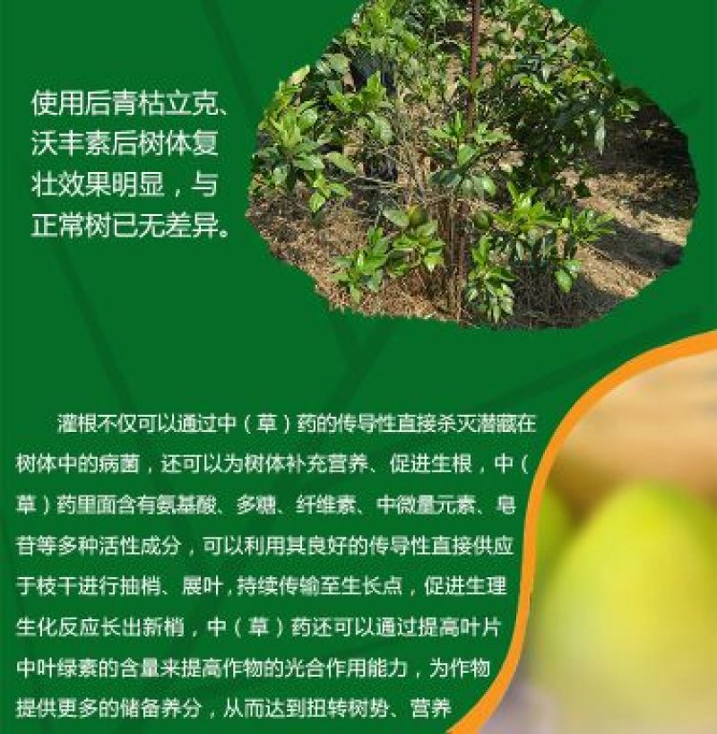 奥力克水剂