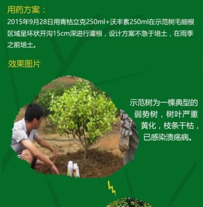 奥力克水剂