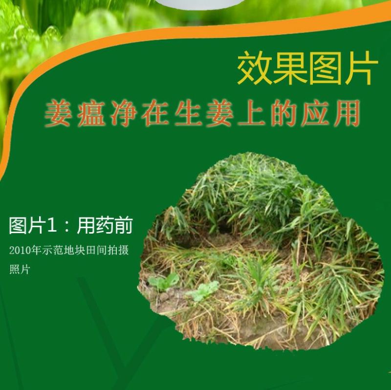 杀菌剂水剂