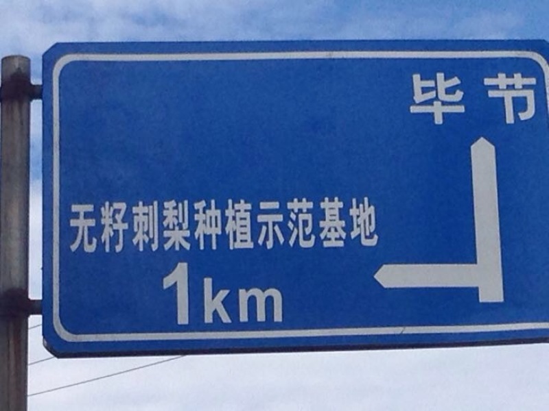 刺梨鲜