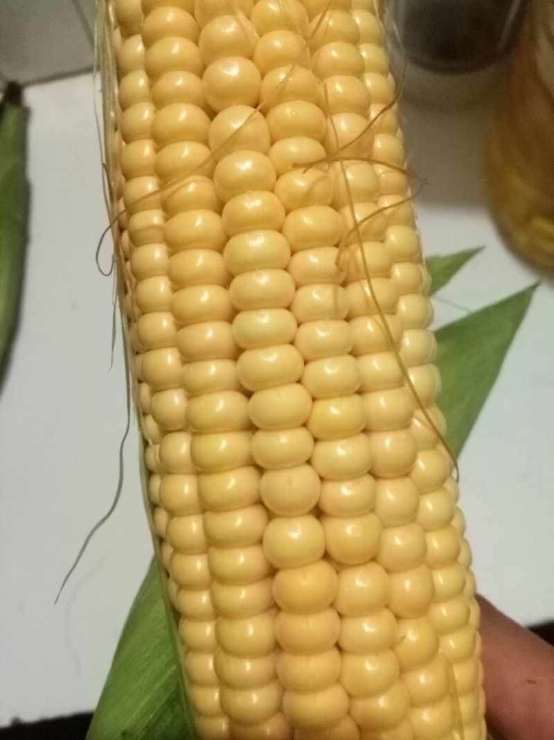 鲜玉米