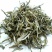 普洱茶一级