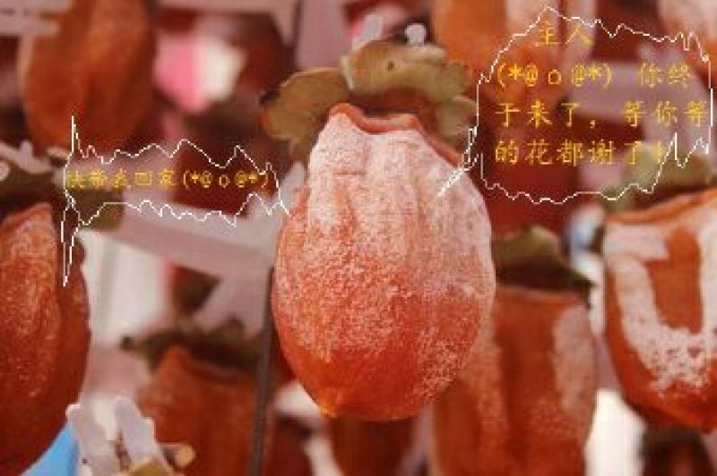 柿饼1~2两