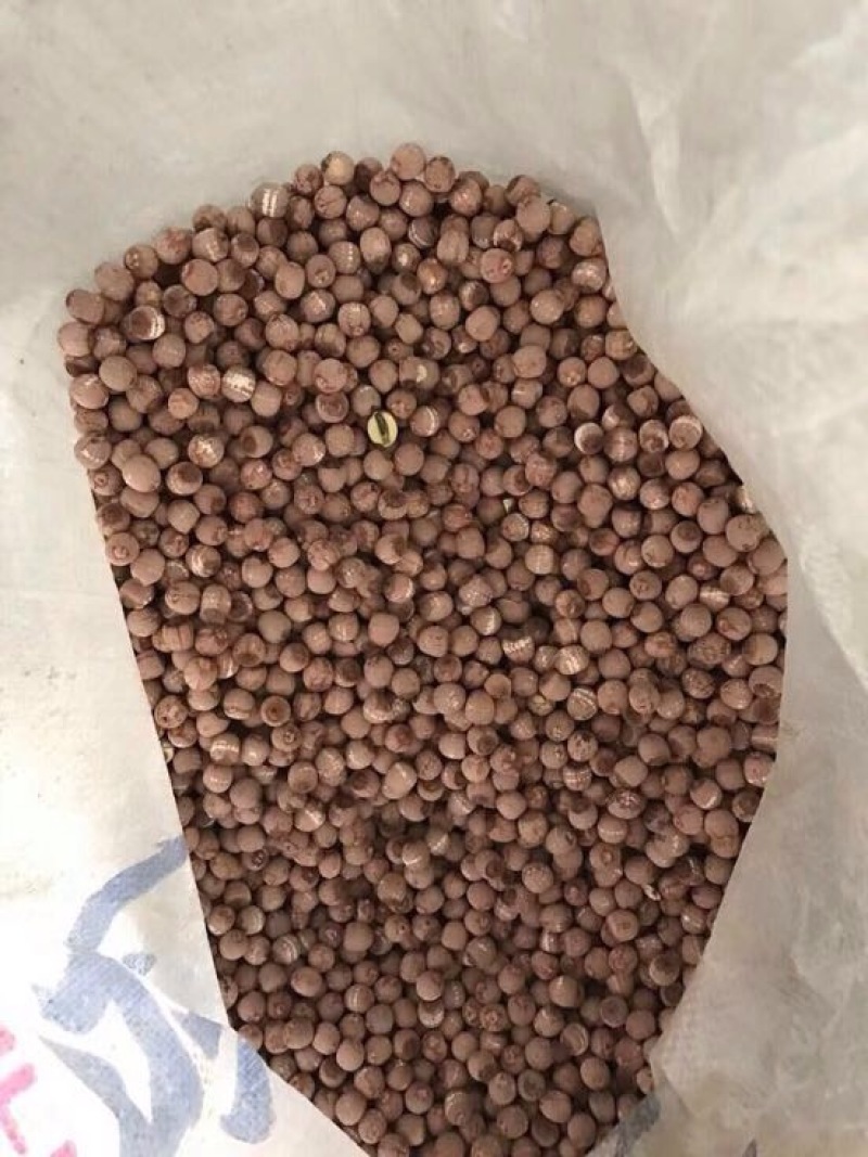 湘莲特级干莲子