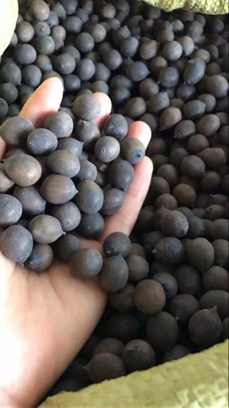 湘莲特级干莲子