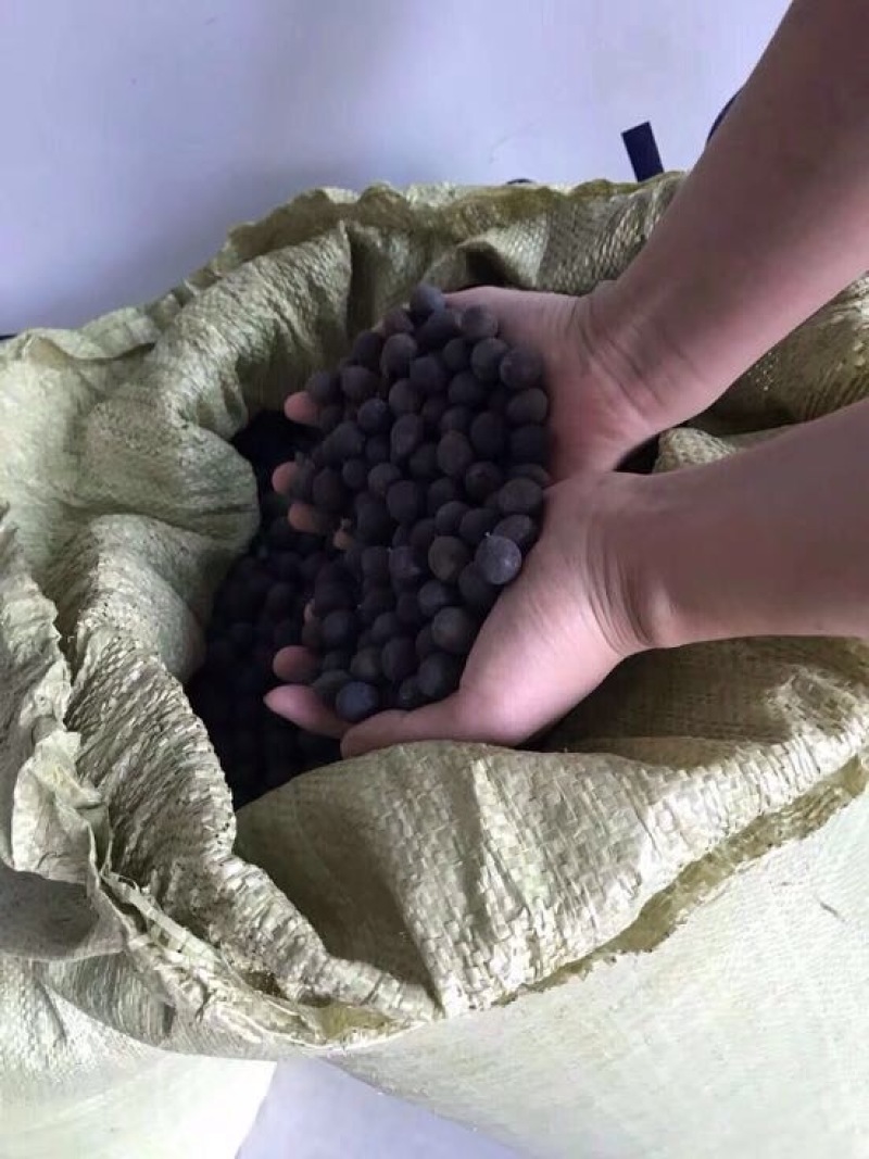 湘莲特级干莲子
