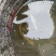 鳖1~1.5斤
