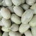 西州蜜瓜5斤以上长形