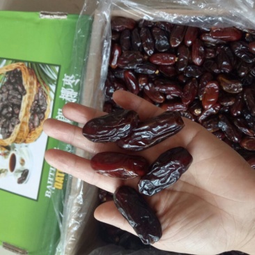 椰枣黑椰枣
