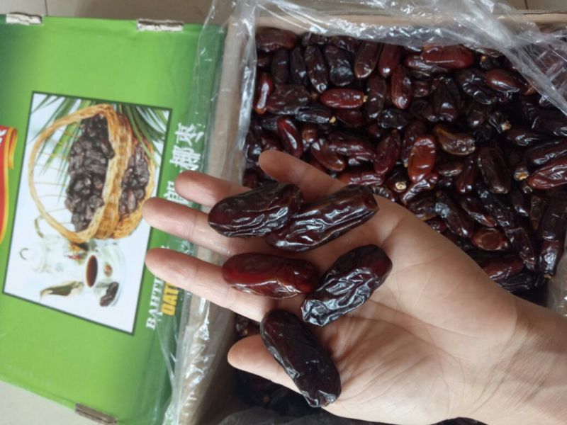 椰枣黑椰枣