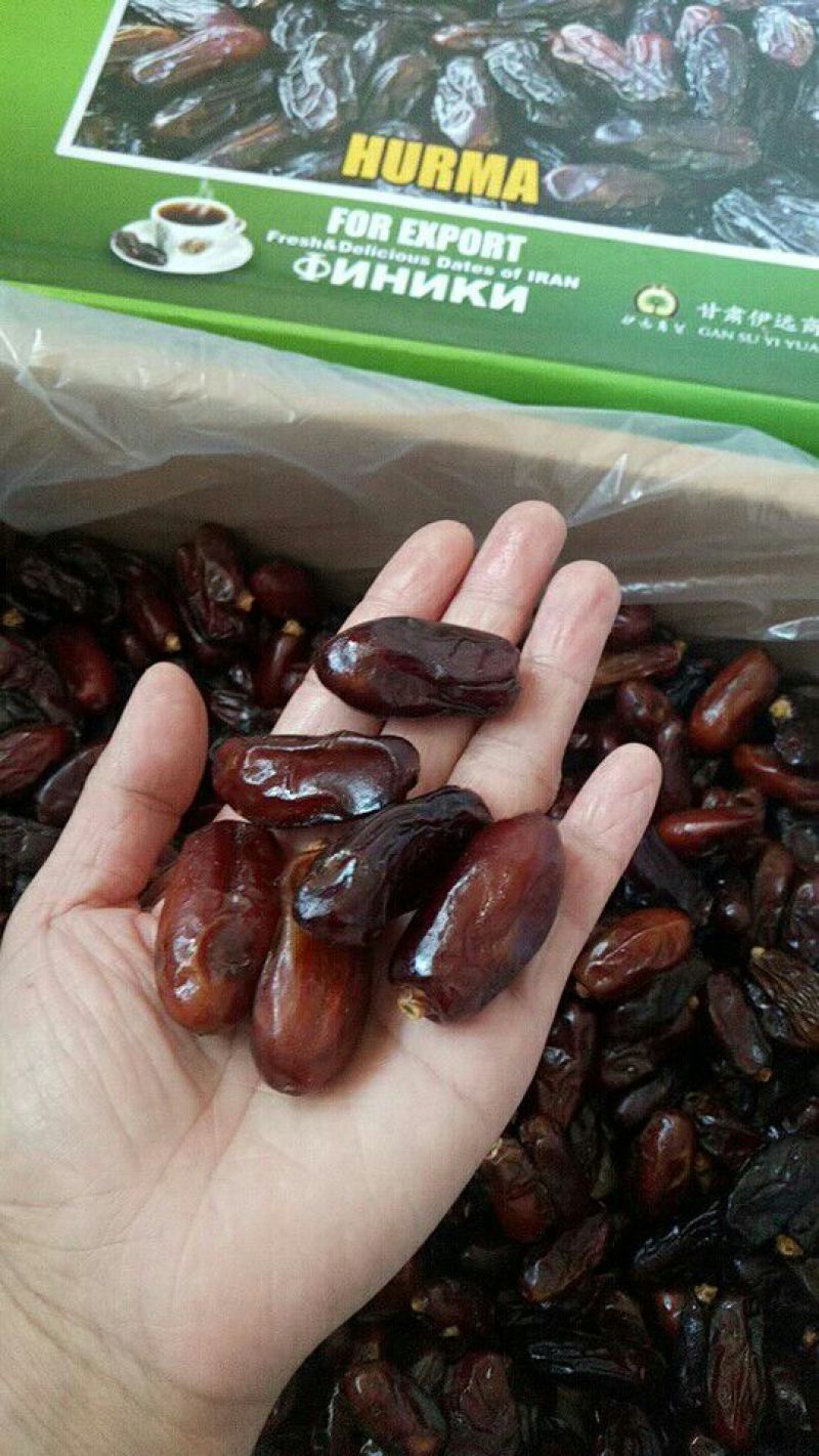 椰枣黑椰枣