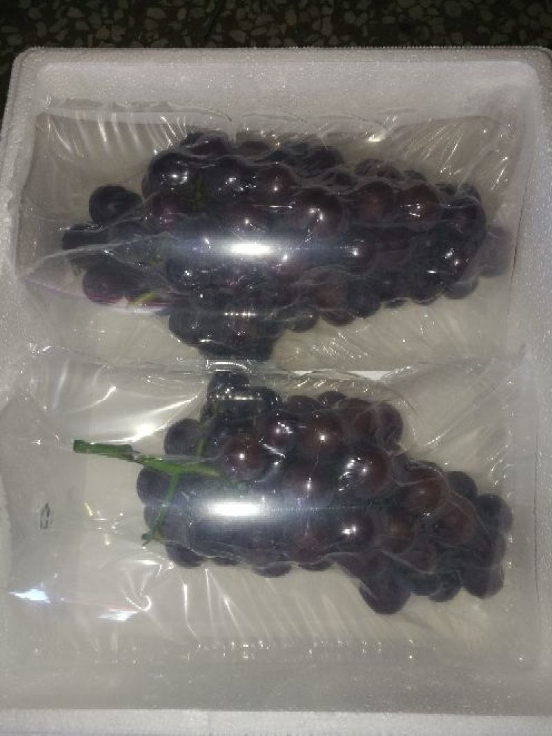 户太八号葡萄5%以下1~2斤