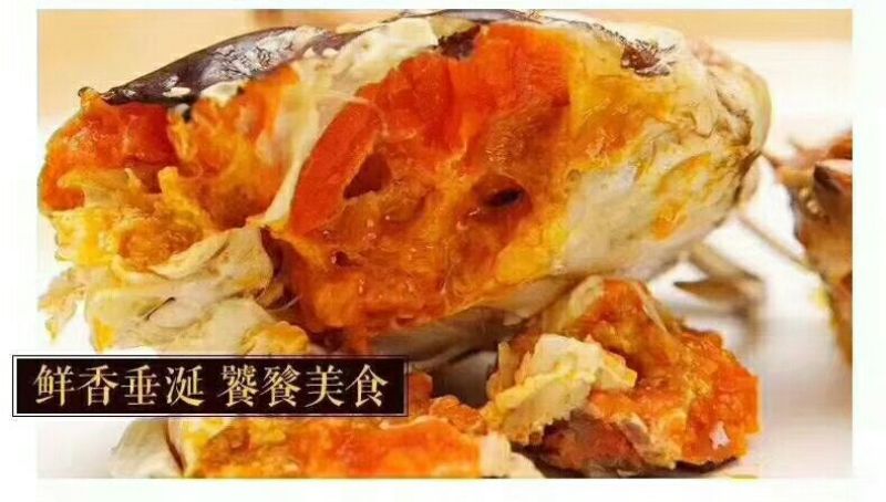 河蟹食用雌2.3-2.5两/只