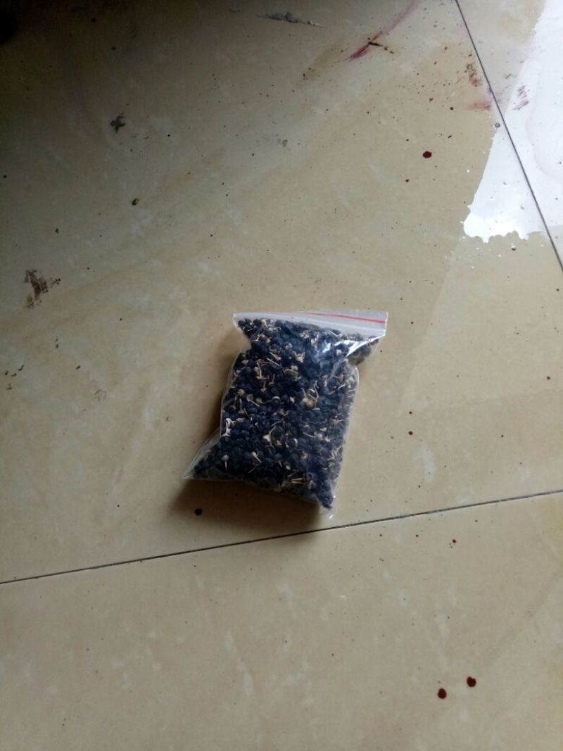黑枸杞干货头茬