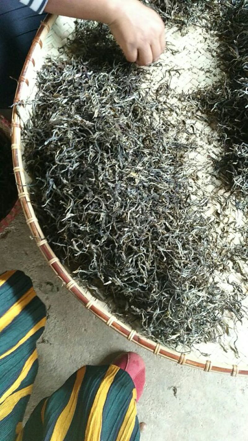 普洱茶特级