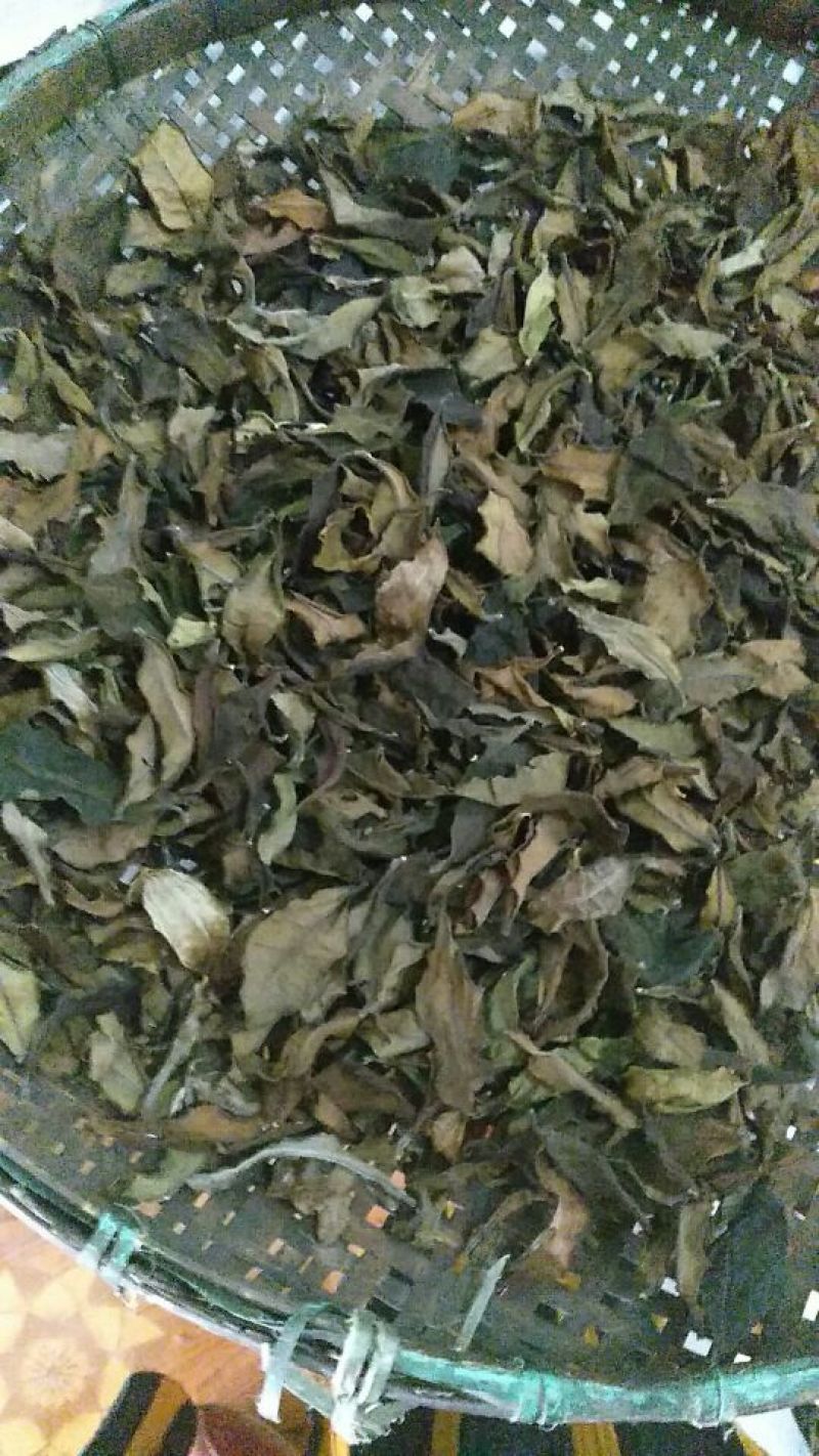普洱茶特级