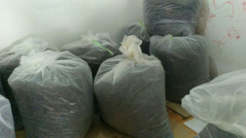 普洱茶特级