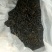 古树茶一级